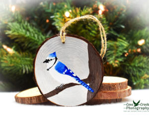Blue jay perched on a limb hand-painted wood slice Christmas ornament at Cove Creek Photography